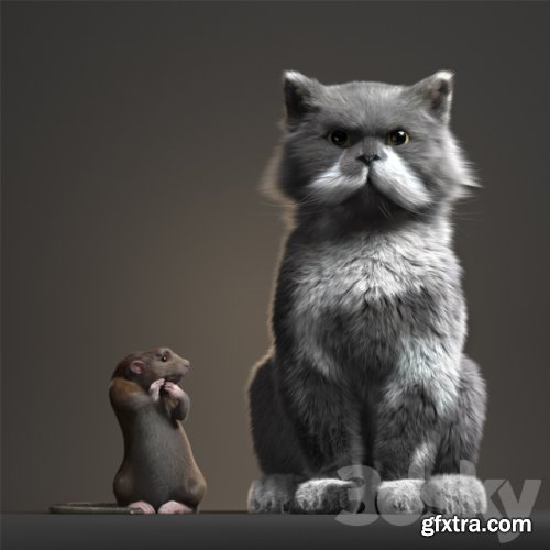 Rat and Cat