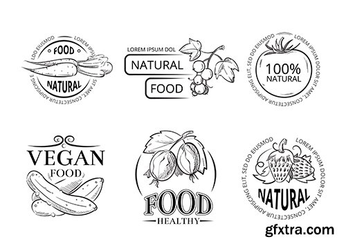 Veggie hand drawing labels with doodle vegan meal
