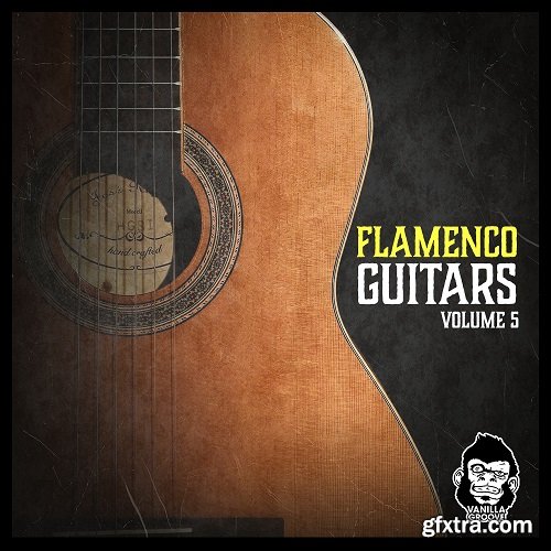 Vanilla Groove Studios Flamenco Guitars Vol 5 WAV