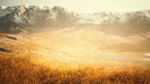 Videohive - Dry Grass and Snow Covered Mountains in Alaska - 32338965