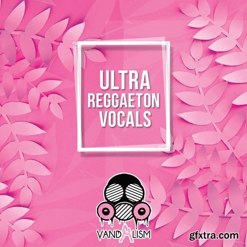 Vandalism Ultra Reggaeton Vocals WAV