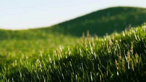 Videohive - Green Fresh Grass As a Nice Background - 32700813