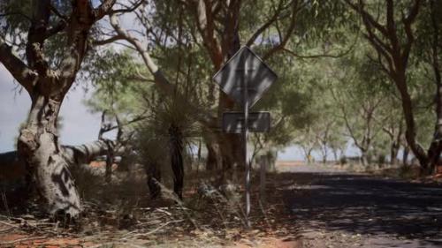 Videohive - Outback Road with Dry Grass and Trees - 32701517