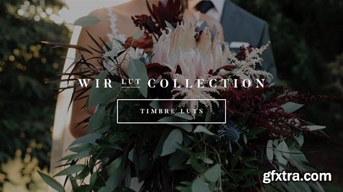White In Revery – Timbre LUTs – Professional Color Grading LUTs (Win/Mac)