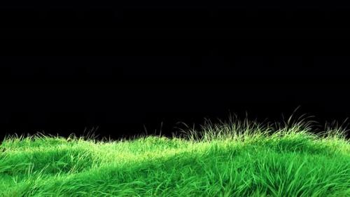 Videohive - Waving Grass in The Strong Wind Loop 4K - 32770053