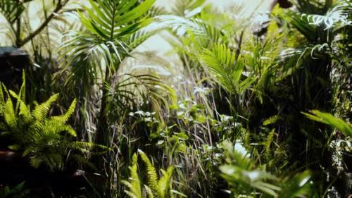 Videohive - Close Up Jungle Grass and Plants - 32988689