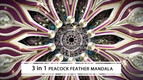 Videohive - Peacock Feather Mandala - 33094412