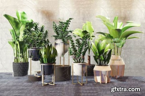 Collection of plants 101