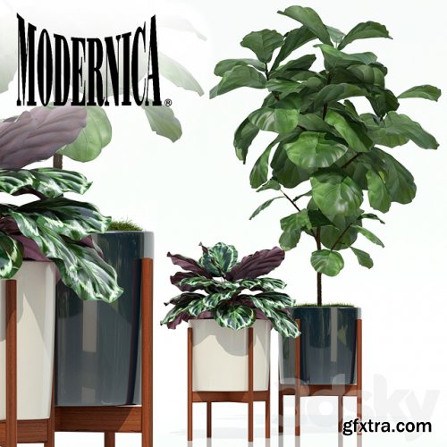Plants collection 69 Modernica pots