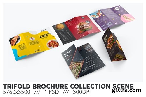 Trifold Brochure Collection Scene