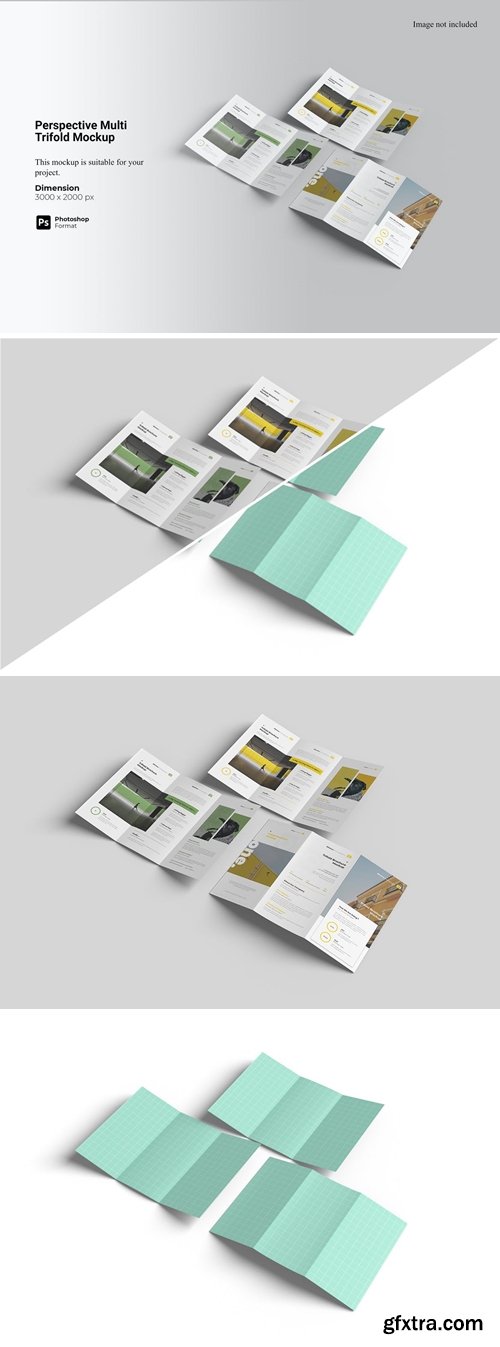 Perspective Multi Trifold Mockup