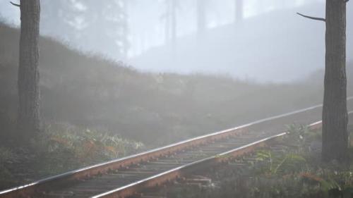 Videohive - Empty Railway Goes Through Foggy Forest in Morning - 34249577