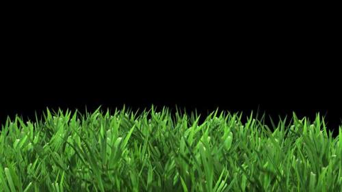 Videohive - Green Grass - 34349694