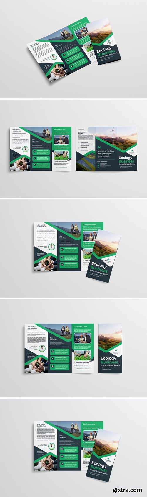 Ecology Business Trifold
