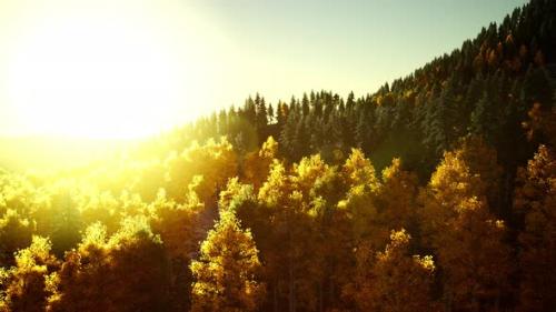 Videohive - Bright Sunset in the Mountains - 34949301