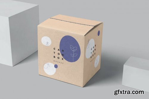 Carton Box Mockups