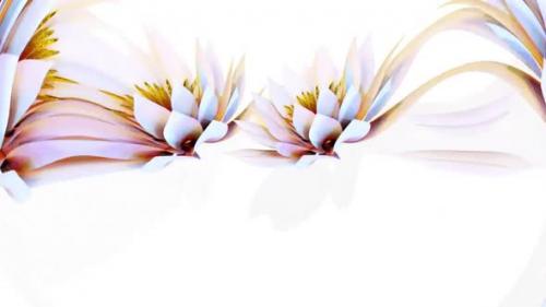 Videohive - Waterlily Botanical Flower 3D Rendering - 35615470