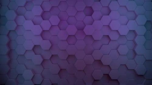 Videohive - Looping Background Purple and Blue Colorful Shader Effect Moving Objects - 35649279
