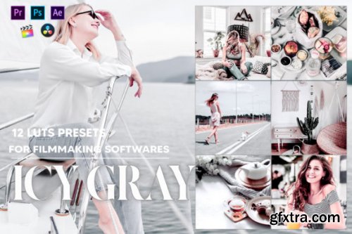 12 Icy Gray Video LUTs Presets
