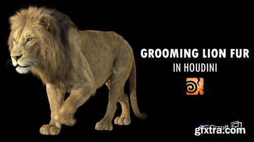 CGCircuit - Grooming Lion Fur in Houdini - Sara Hansen
