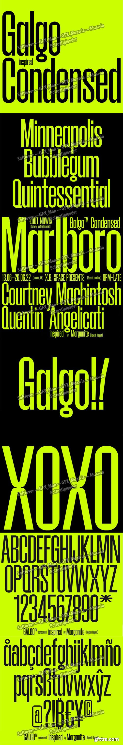 Galgo Condensed Tall Sans Serif Font