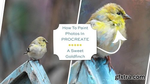 How To Paint Photos In Procreate: A Sweet Goldfinch