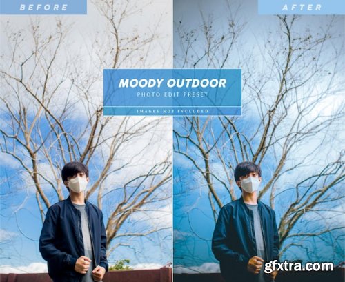 Editable moody outdoor photo preset