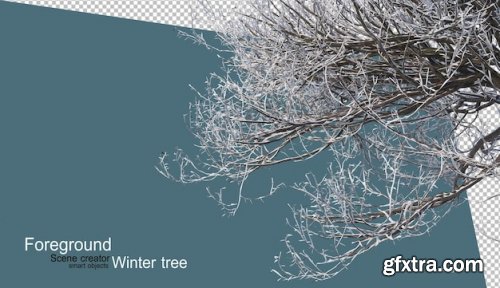 Various winter trees design 02