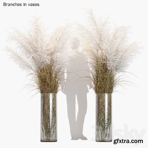 Branches in Vases