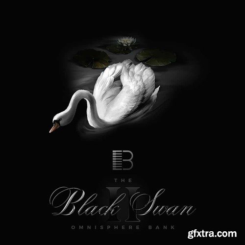 Brandon Chapa Black Swan ll Omnisphere Bank