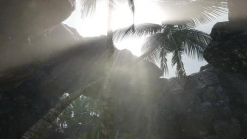 Videohive - Big Palms in Stone Cave with Rays of Sunlight - 38411022