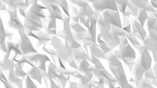 Videohive - White Polygon Background design. Abstract geometric backdrop - 38492719
