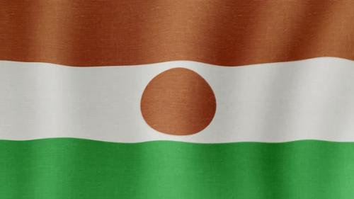 Videohive - The National Flag of Niger - 38995353