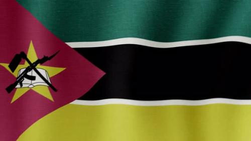 Videohive - The National Flag of Mozambique - 38995362