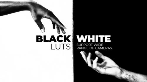 Videohive - Black and White LUTs for Final Cut - 39103209