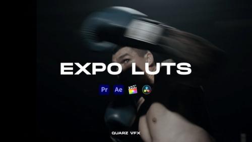 Videohive - Expo LUTs Color Presets - 39644666