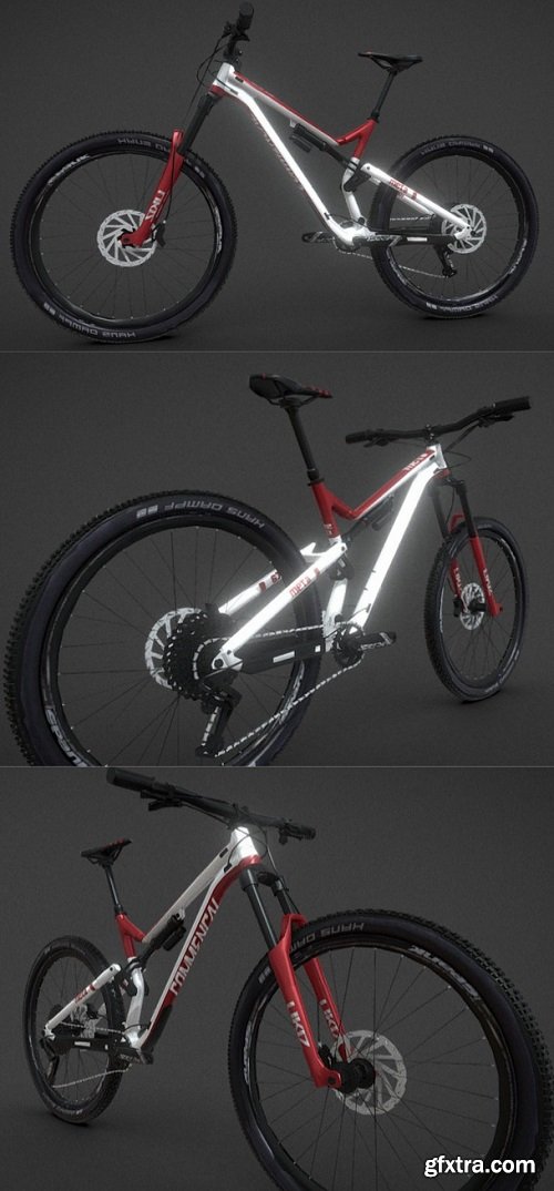 Mountain Bike MTB 3D Model