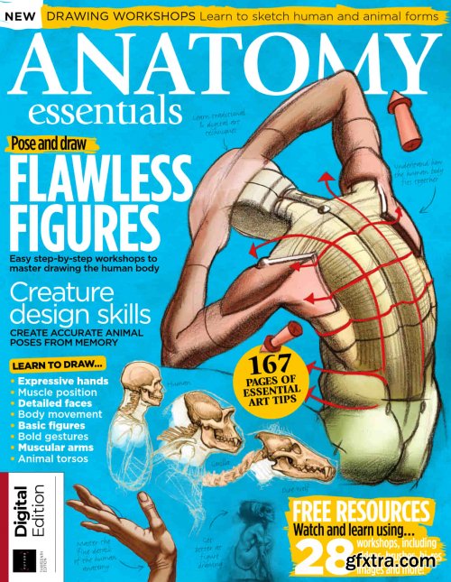Anatomy Essentials - 13th Edition, 2022