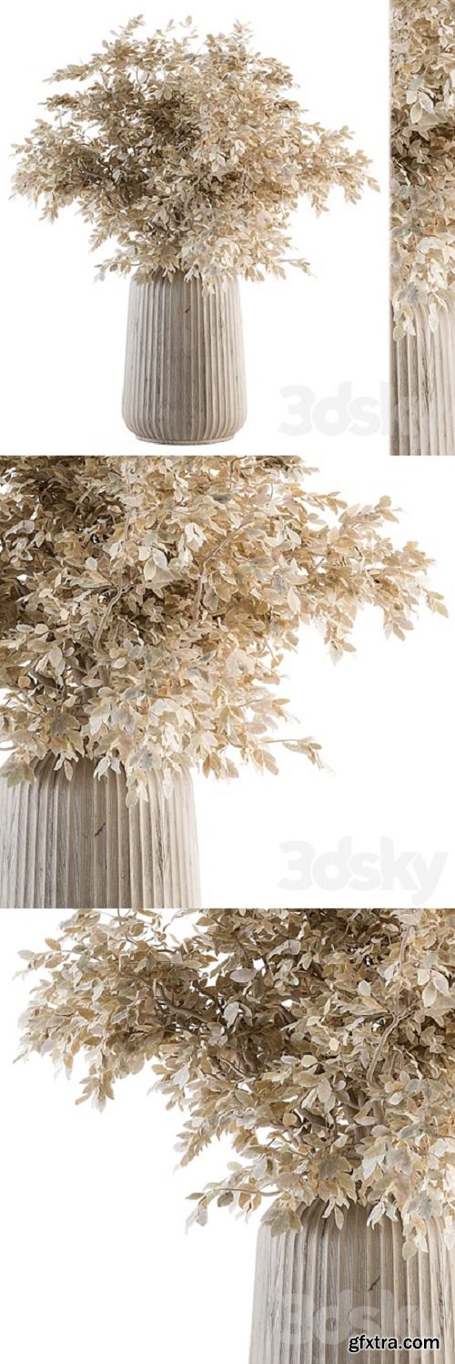 Dry plants 46 – Dried Plant Bouquet