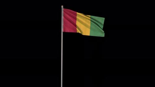 Videohive - Guinea flag - 41869427