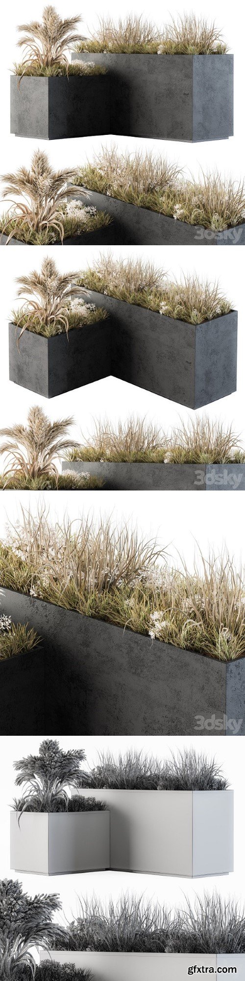 Outdoor Concrete Plant Box With Cereals and Dried Plants | Vray+Corona