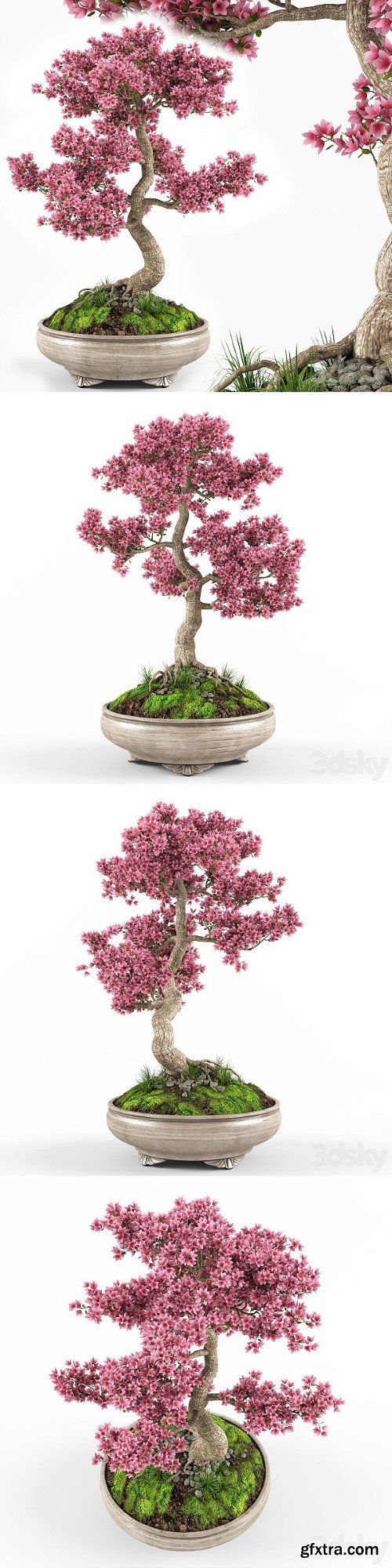 Pro 3DSky - Sakura Bonsai Tree