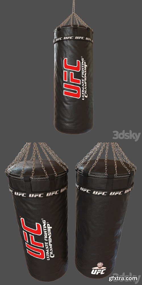 Pro 3DSky - UFC Boxing Bag