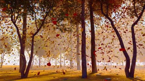Videohive - The Beautiful Scenery Of Autumn Leaves Falling - 47613528
