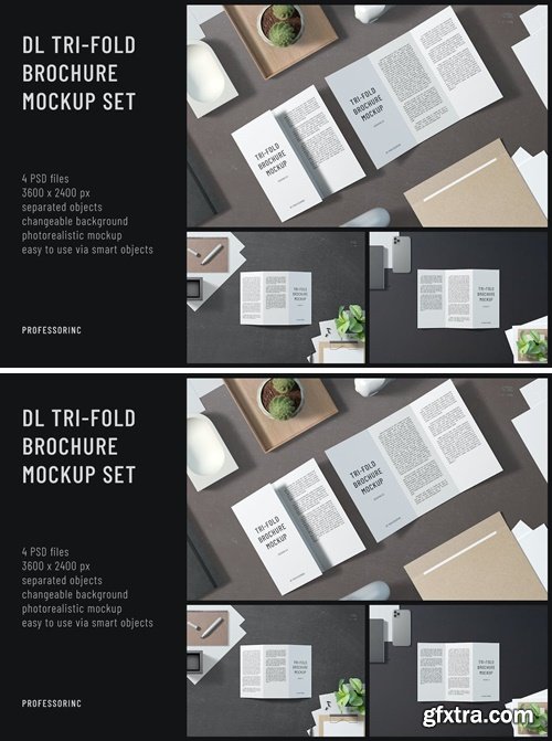 DL Tri-Fold Brochure Mockup Set EJVSN5H