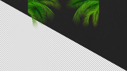 Videohive - Palm Leaves Moving Alpha - 48056305