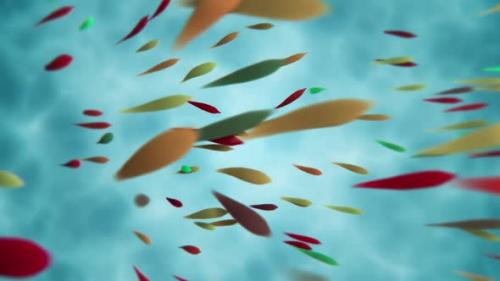 Videohive - Colorful Tropical Fish Swimming Motion Background - 48099206