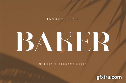 Baker - Stylish Serif Font Q99G86S