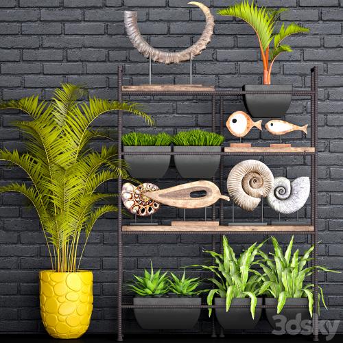 Decorative set. 1. Black brickwork, tusk, horn, palm tree, ammonite, figurine, assplenium, loft, shelf with decor, rack