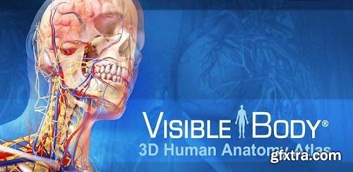 Visible Body Human Anatomy Atlas 7.4.0.1 + Portable